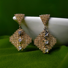 Zircon Studded Drop Earrings