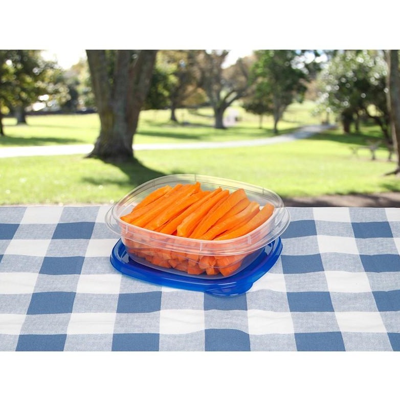 Square Take Along Food Conatiner Bowls (Pack of 4) - waseeh.com