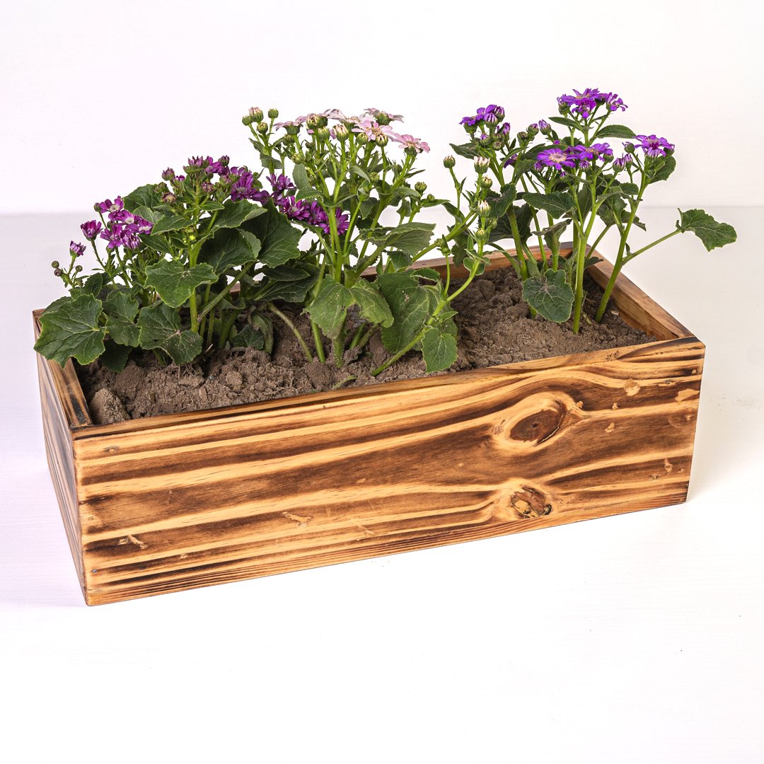 The Rancher Plant Pot Decor - waseeh.com