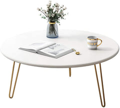 Tatami Lounge Living Drawing Room Center Table (Round) - waseeh.com