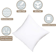 Filled Cushions - Pack of 2 - waseeh.com