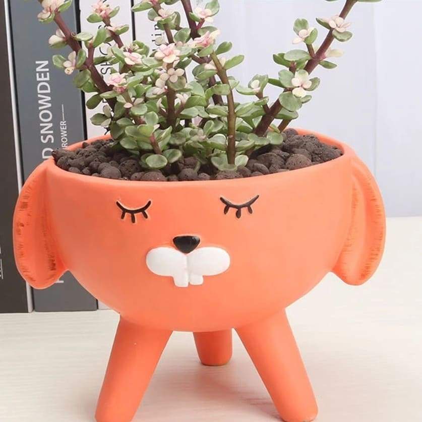 Korean Flowerpots - waseeh.com